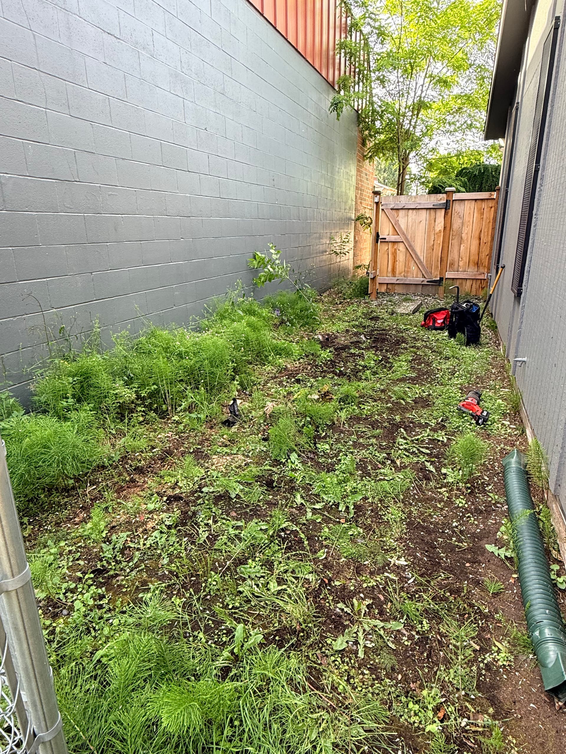 Gallery photos for Old Fence Torn Out and the Whole Area Cleaned Up: Image #2