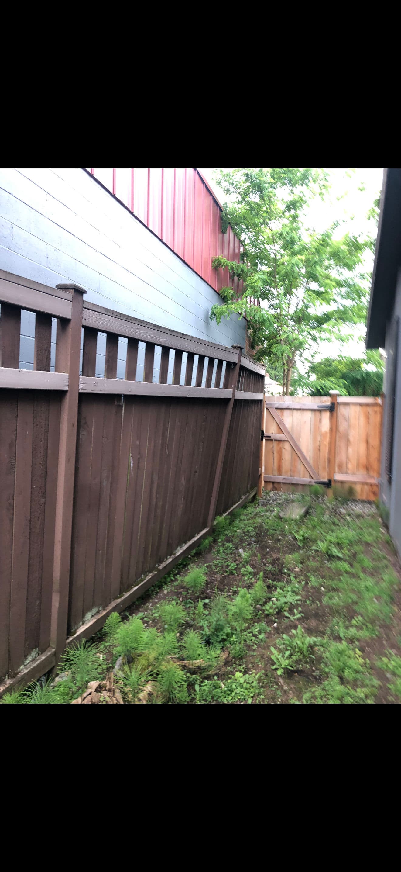 Project Old Fence Torn Out and the Whole Area Cleaned Up image